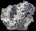 Grape Agate From Indonesia - Cyber Monday Deal! #38196-2